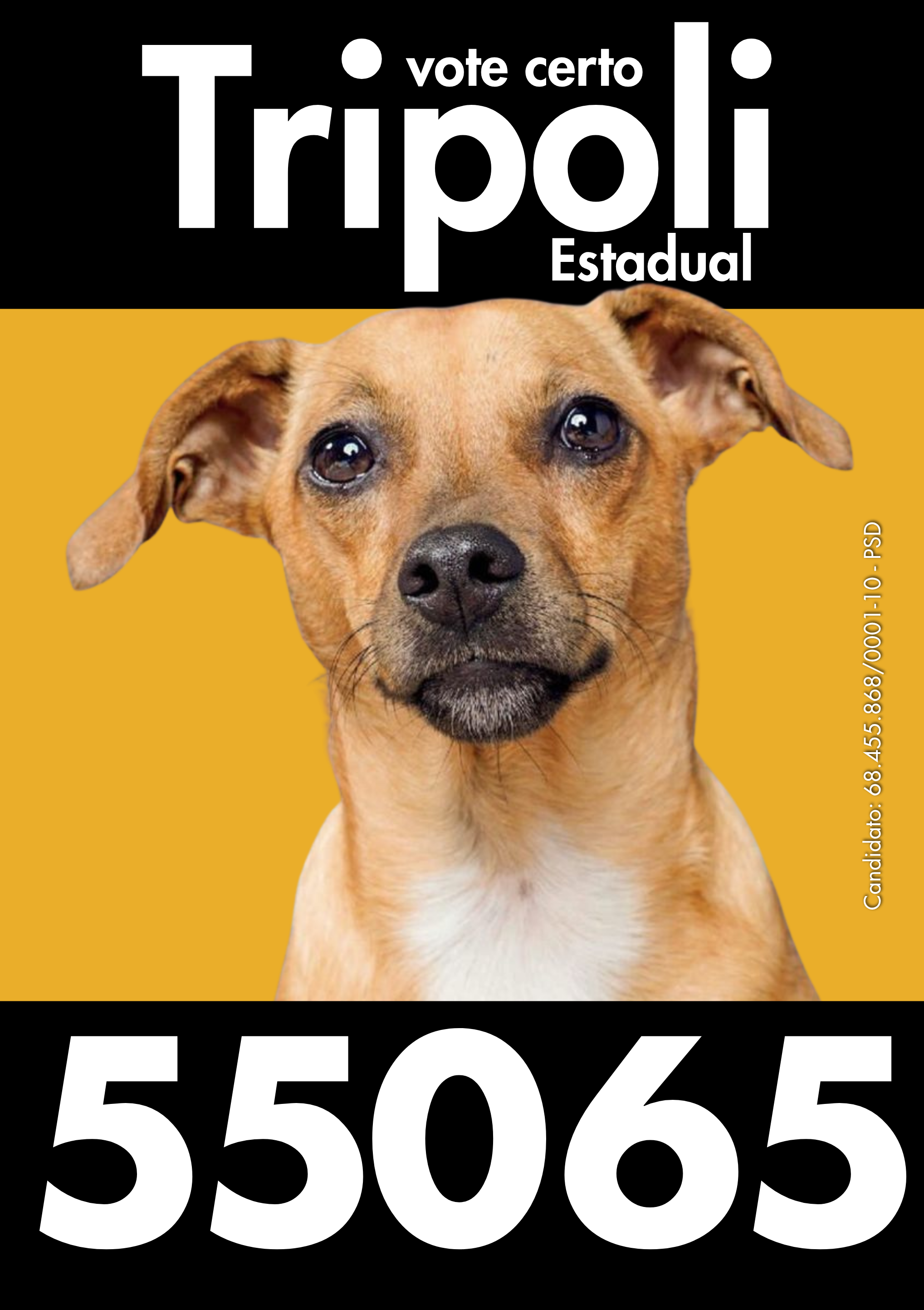 Cédula Tripoli 55065 — 1.png