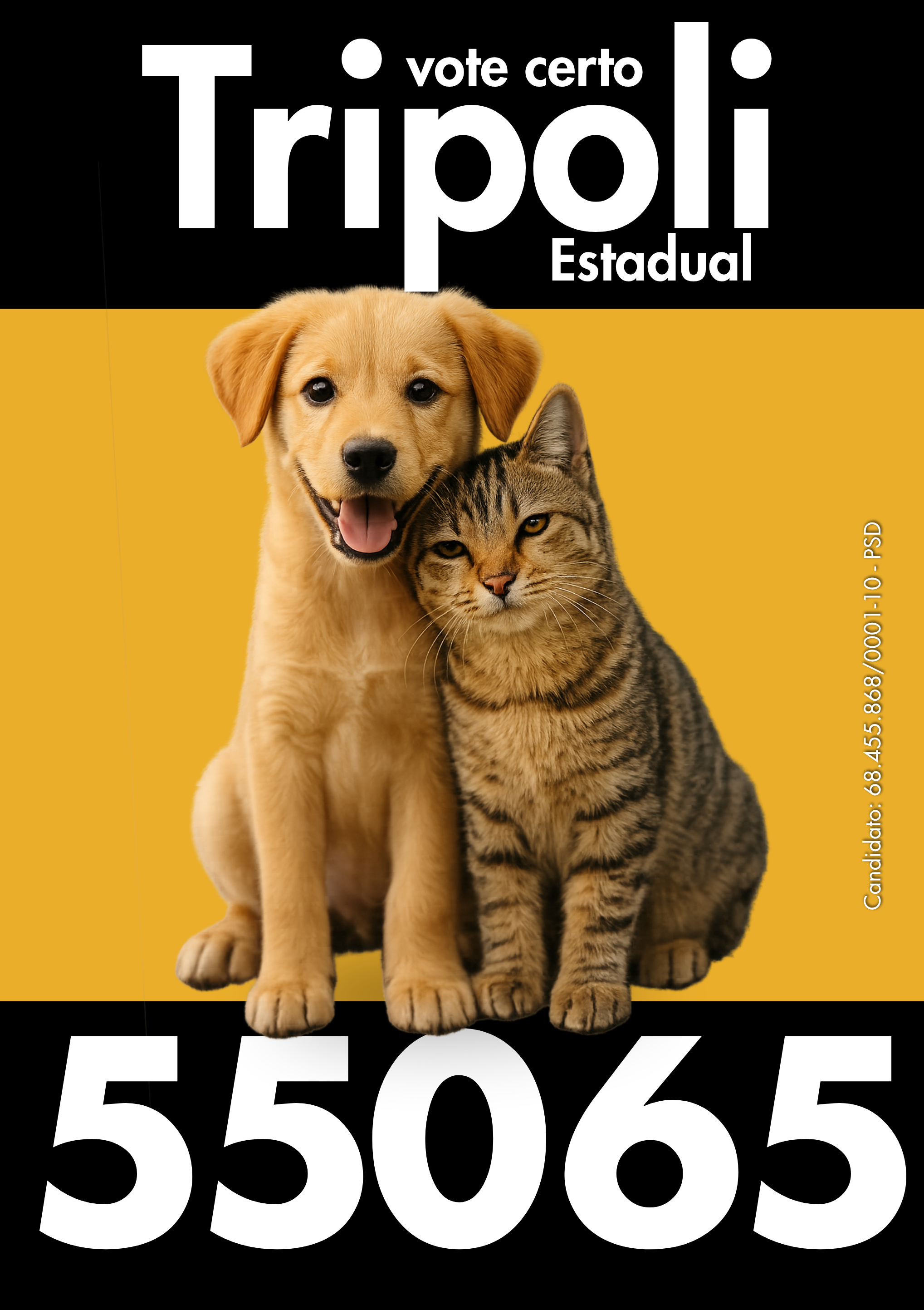 Cédula Tripoli 55065 — 12.png