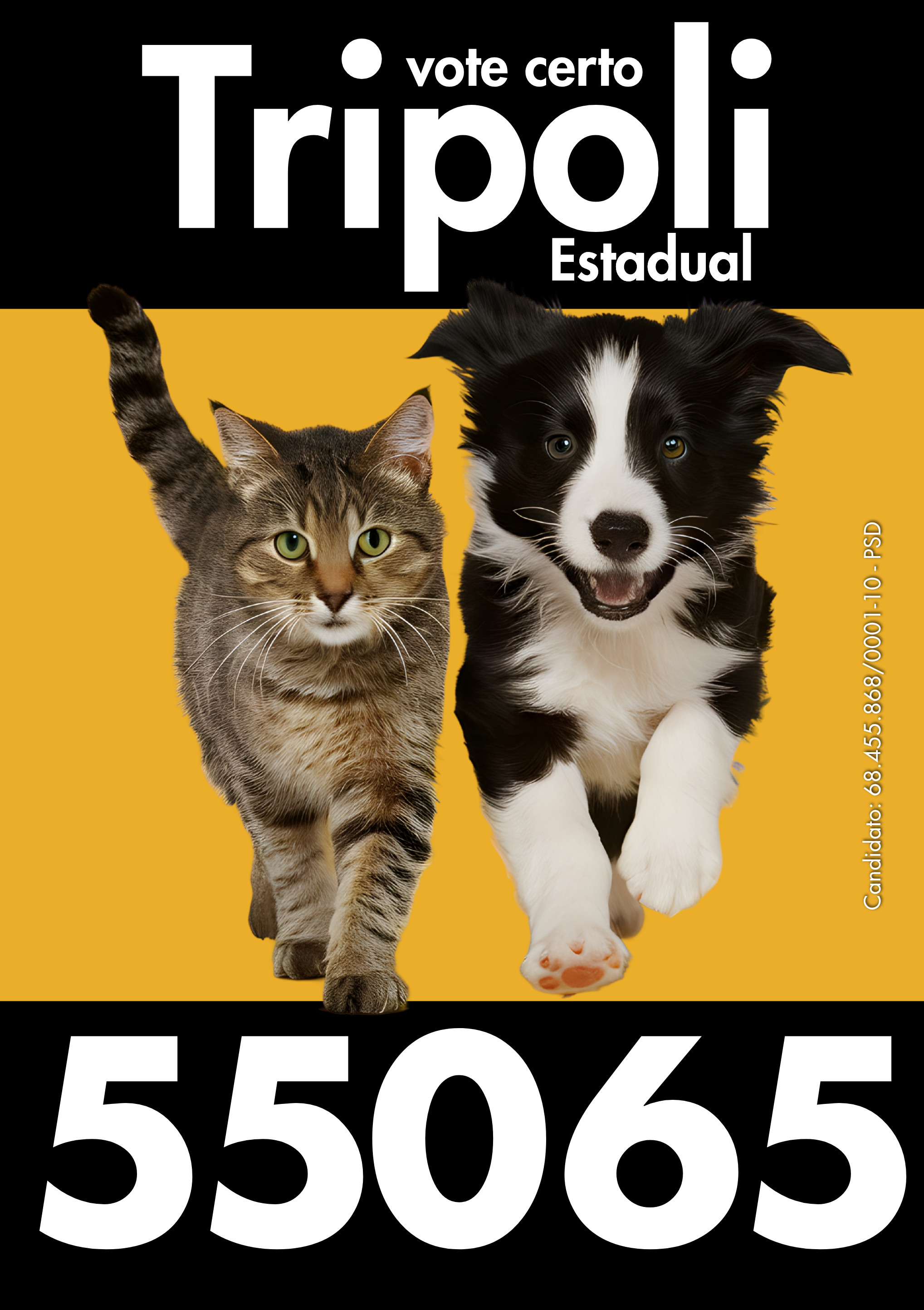 Cédula Tripoli 55065 — 2.png