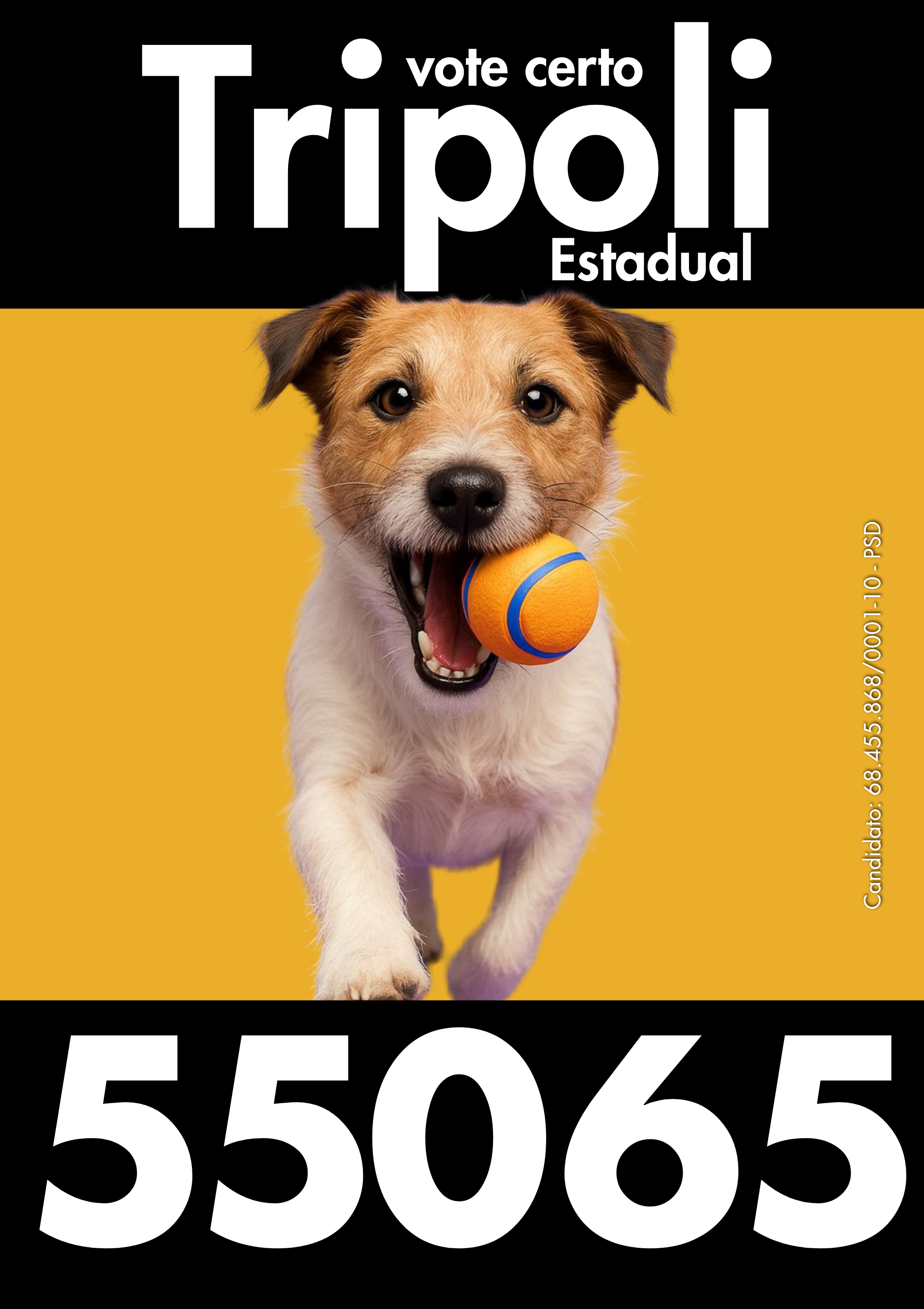 Cédula Tripoli 55065 — 4.png