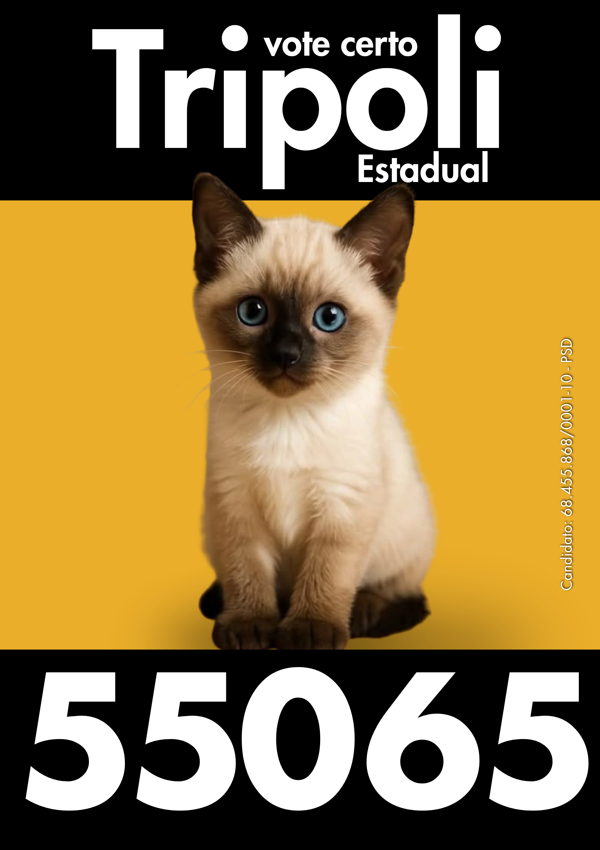 Cédula Tripoli 55065 — 5.png