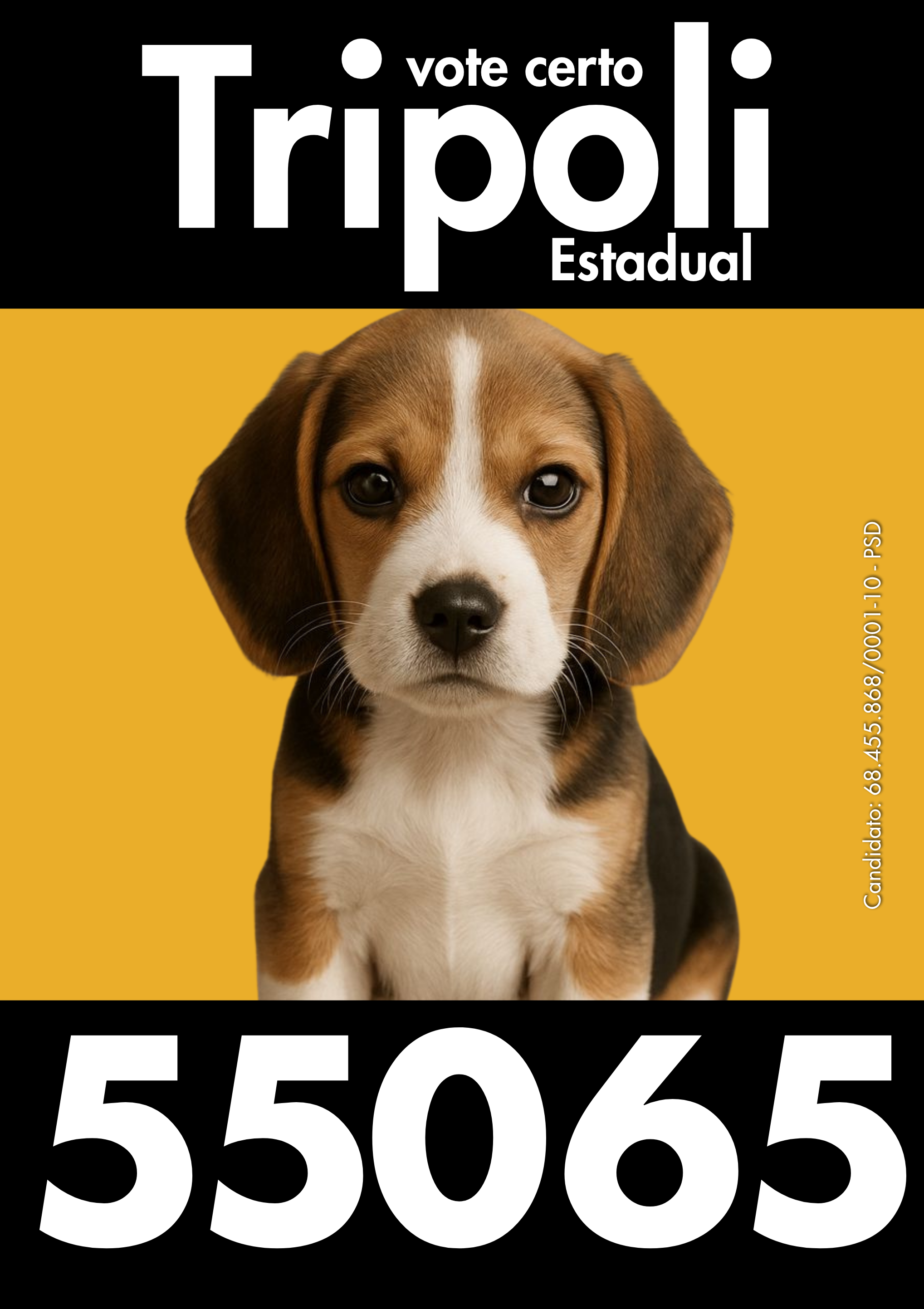 Cédula Tripoli 55065 — 8.png